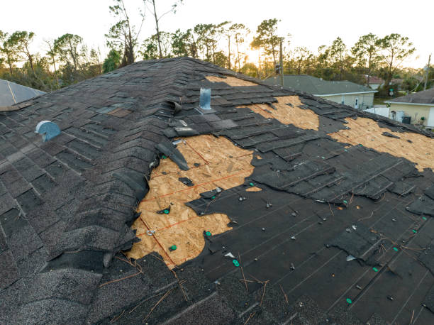 Best Roof Insulation Installation  in Freedom, PA